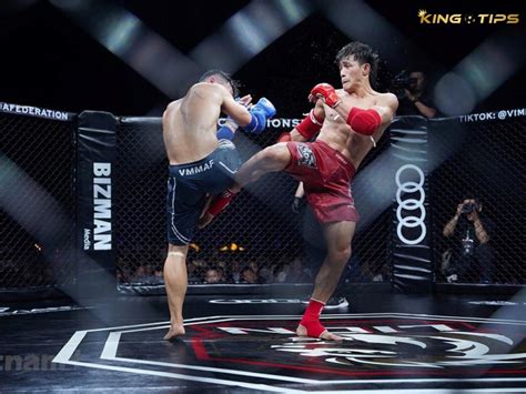 boxing betting forum|mma betting forum.
